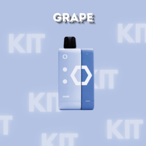 Elfbar EW9000 Kit Grape