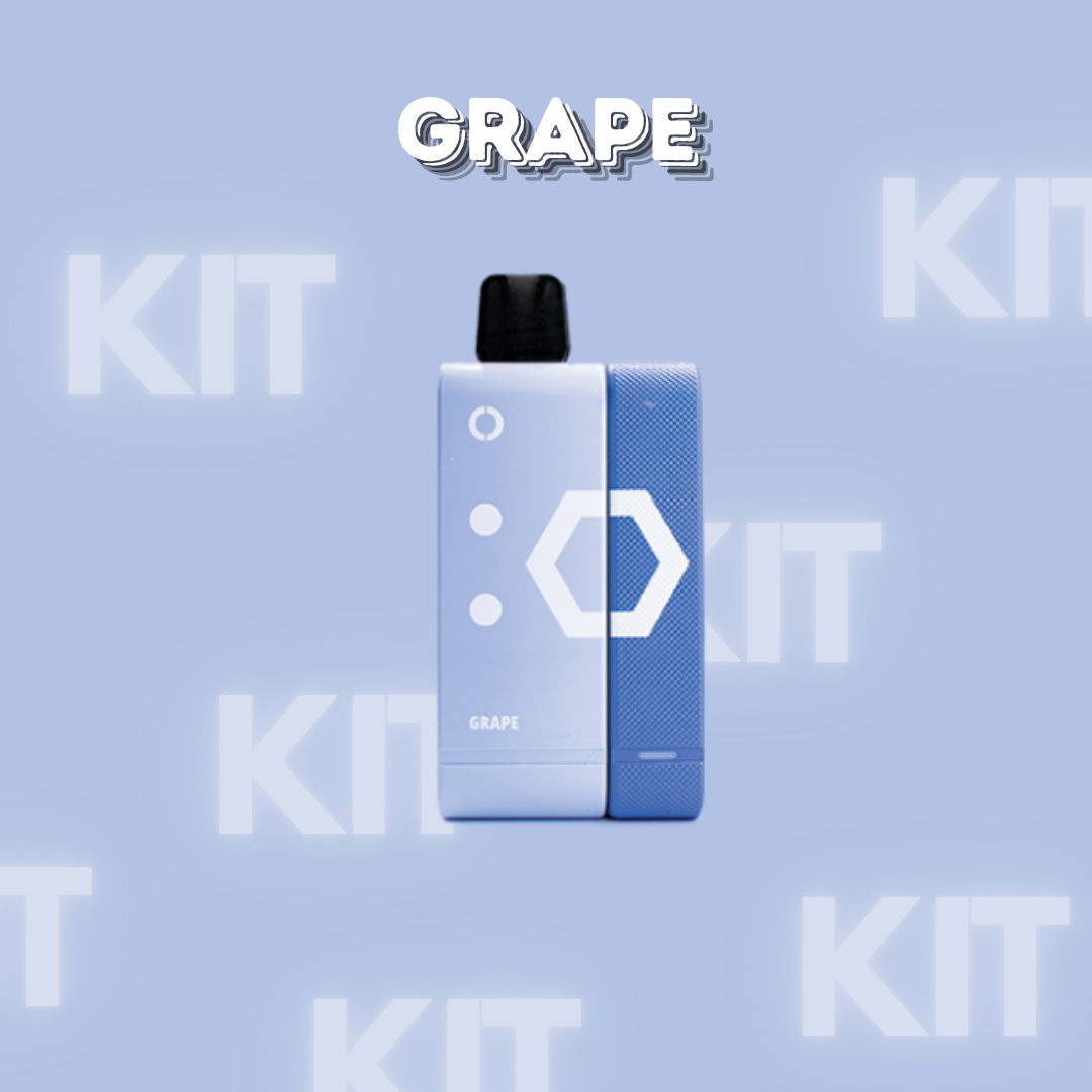 Elfbar EW9000 Kit Grape