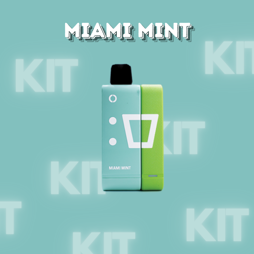 Elfbar EW9000 Kit Miami Mint