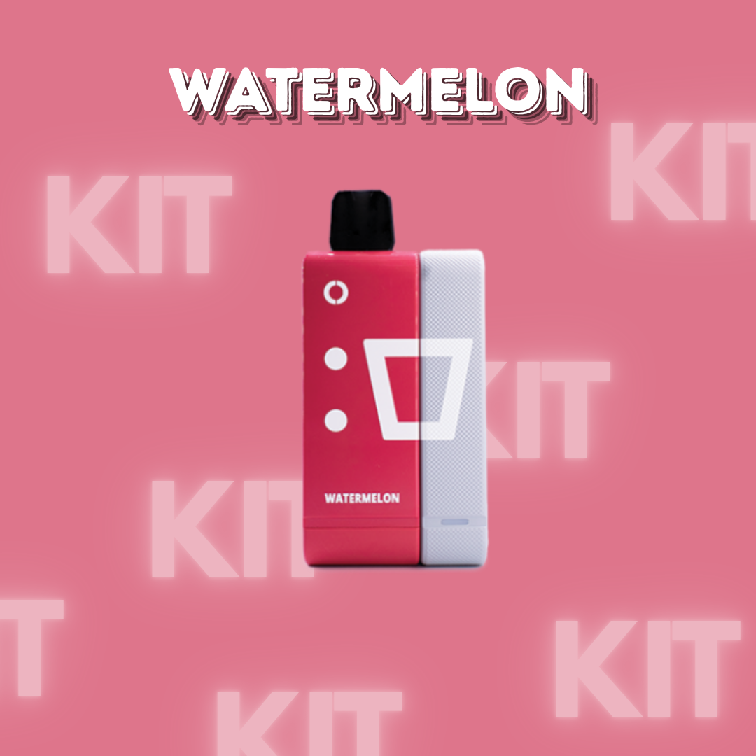 Elfbar EW9000 Kit Watermelon