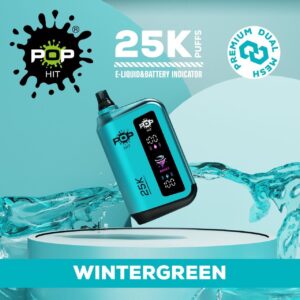 Pop Hit Wintergreen 25000 puffs