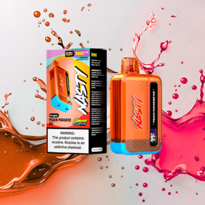 Nasty Peach Paradise Ice 9000 puffs