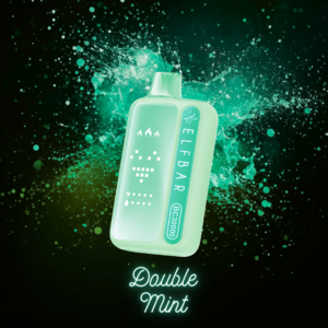 Elfbar BC30000 Double Mint
