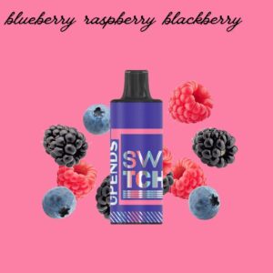 Upends Pod Blueberry Raspberry Blackberry 4500 puffs