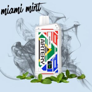 Artery Cs5 Miami Mint 25000 puffs