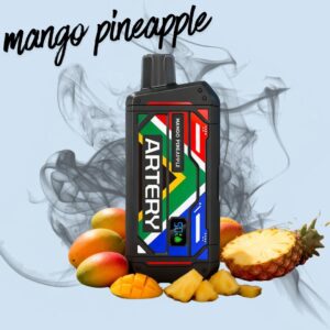 Artery Cs5 Mango Pineapple 25000 puffs